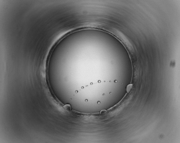 X0000102850940200808251159