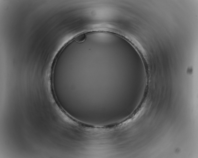 X0000102850941200808251159