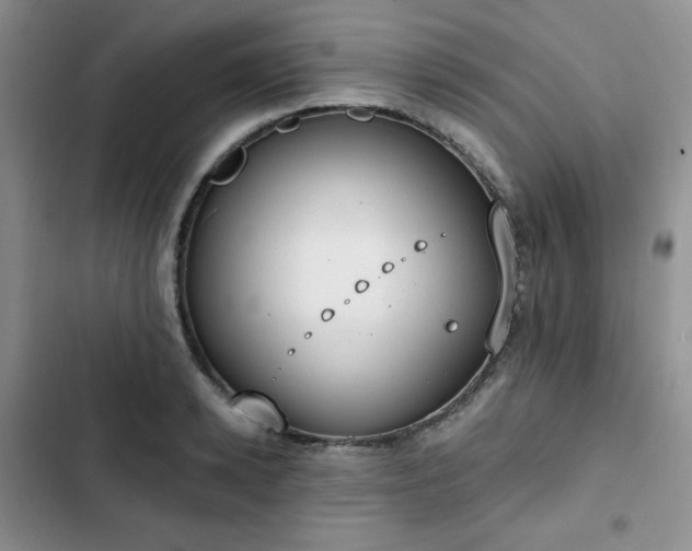 X0000102850942200808251159