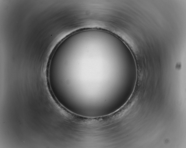 X0000102850943200808251159