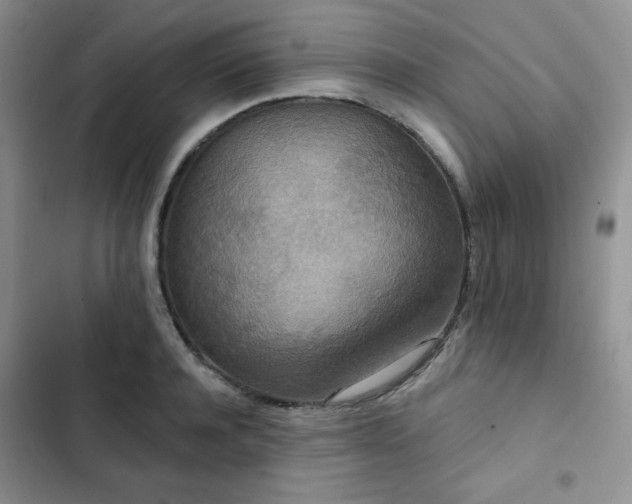 X0000102850944200808251159