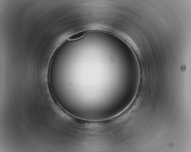 X0000102850946200808251159