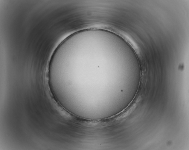 X0000102850948200808251159