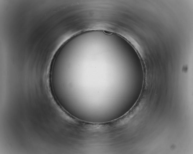 X0000102850949200808251159