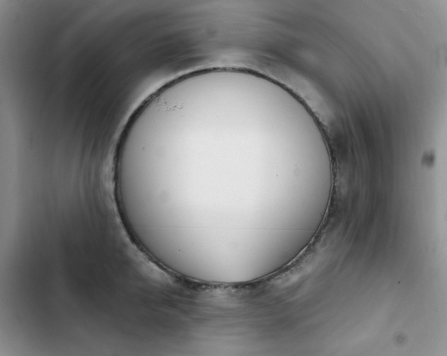 X0000102850950200808251159