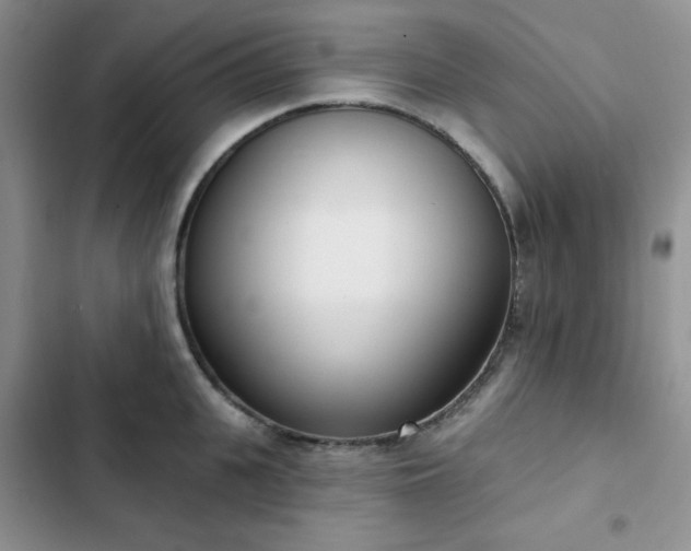 X0000102850951200808251159