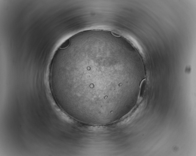 X0000102850952200808251159