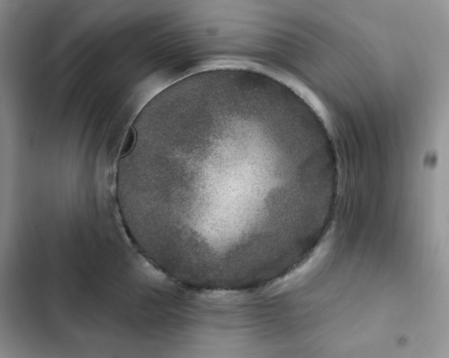 X0000102850953200808251159