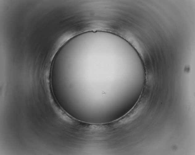 X0000102850954200808251159