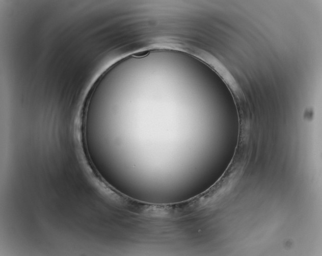 X0000102850955200808251159