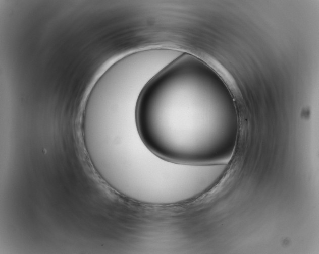X0000102850956200808251159