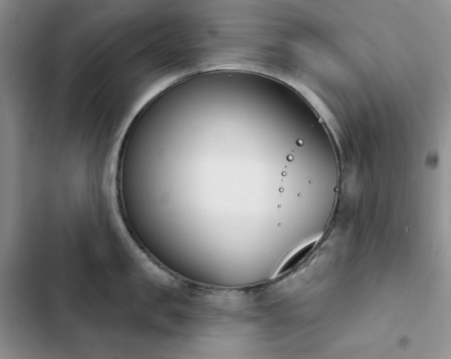 X0000102850957200808251159