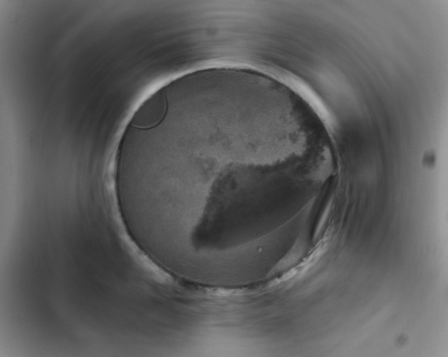 X0000102850958200808251159