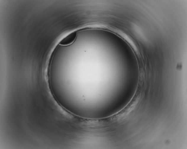X0000102850959200808251159