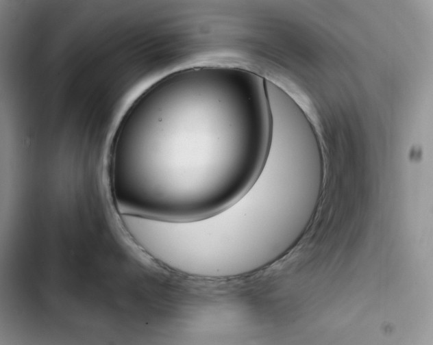 X0000102850960200808251159