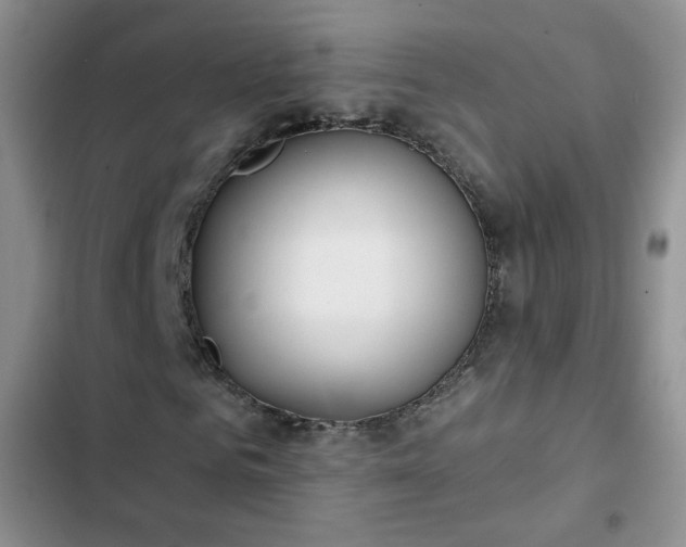 X0000102850961200808251158