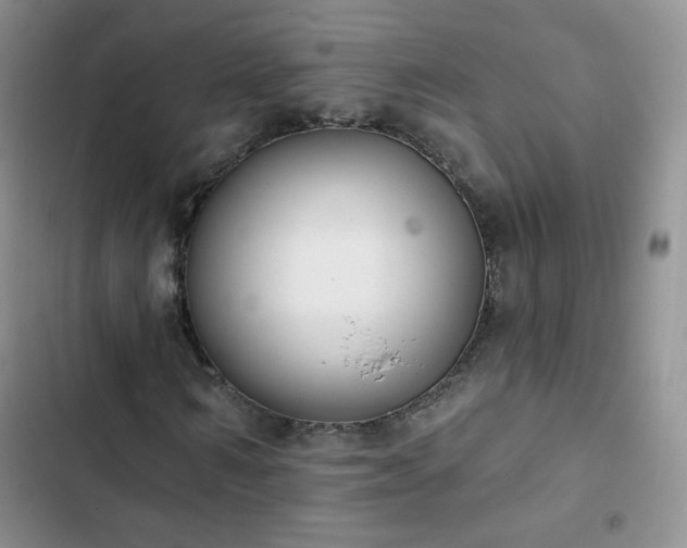 X0000102850962200808251158