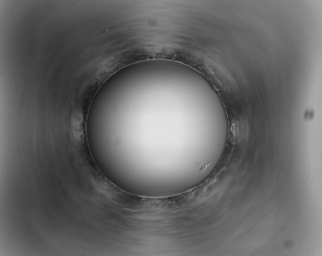 X0000102850963200808251158