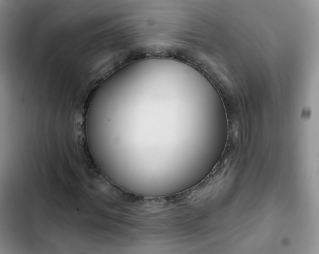 X0000102850964200808251158