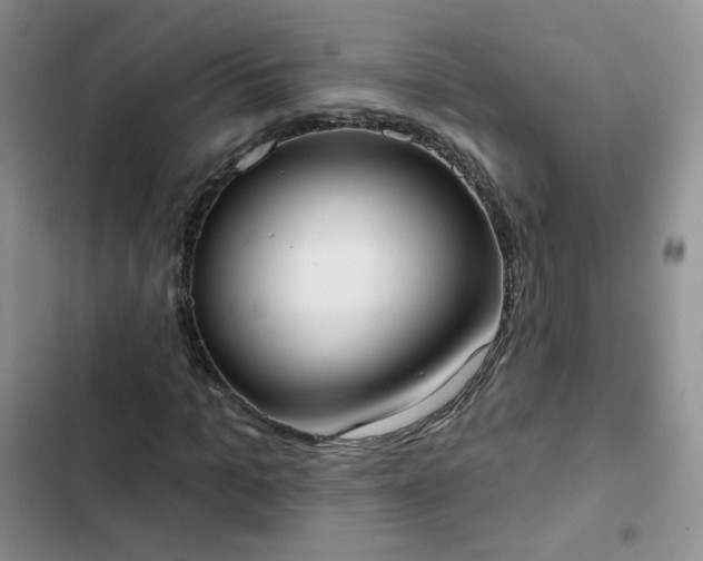 X0000102850965200808251158