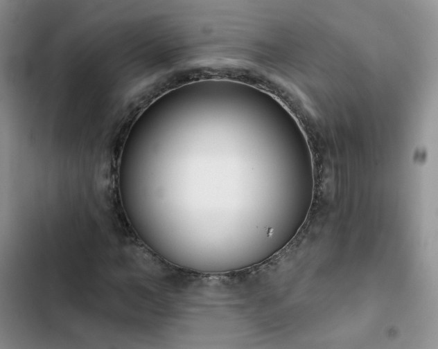 X0000102850966200808251158