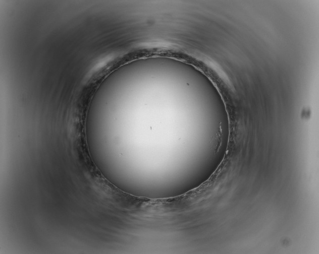 X0000102850967200808251158