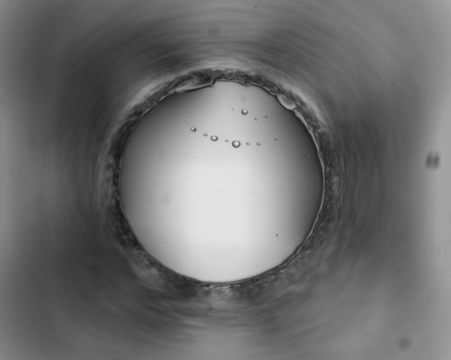 X0000102850968200808251158