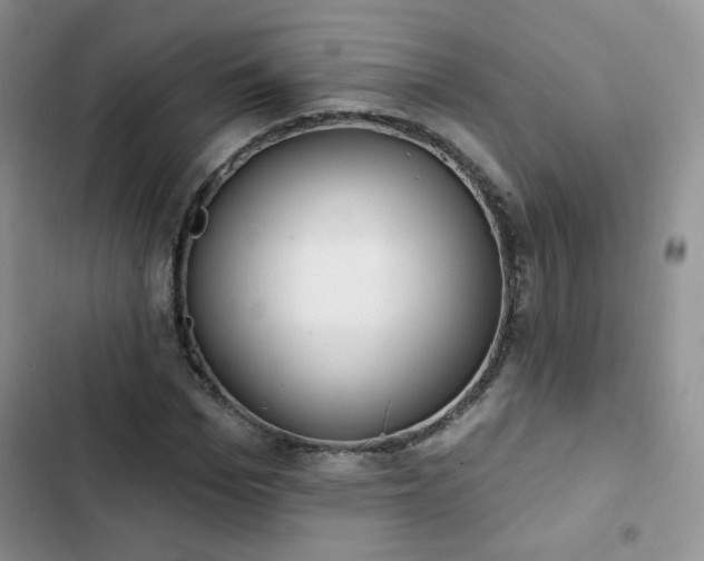 X0000102850969200808251158