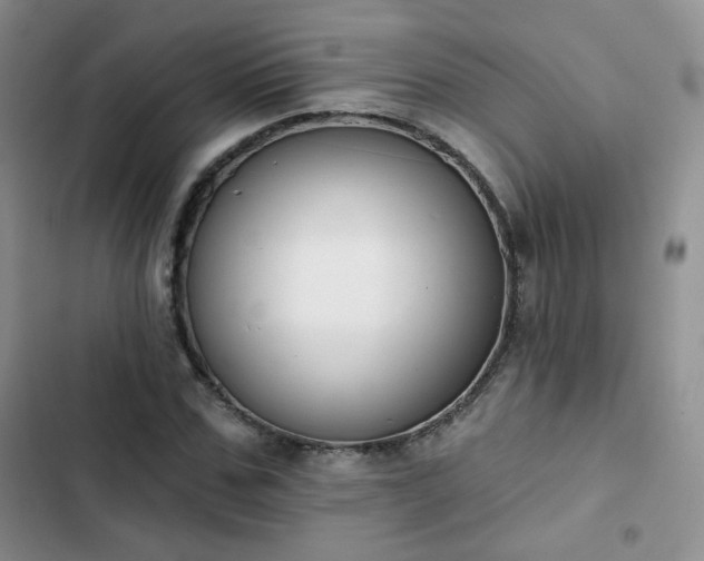X0000102850971200808251158