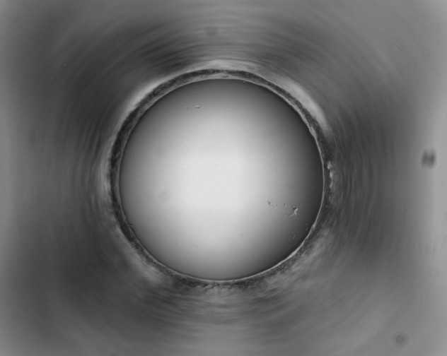 X0000102850972200808251158