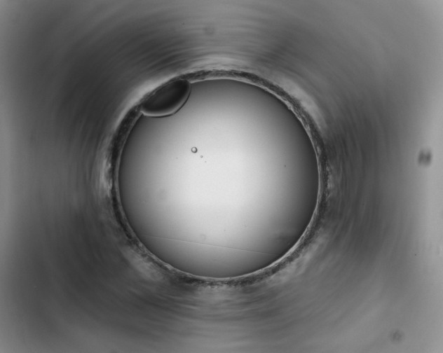 X0000102850973200808251158