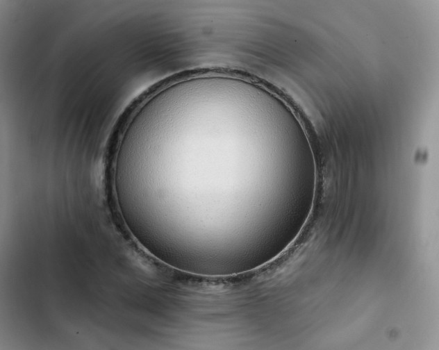 X0000102850975200808251158