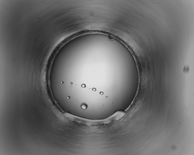 X0000102850976200808251158
