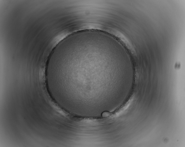 X0000102850977200808251158