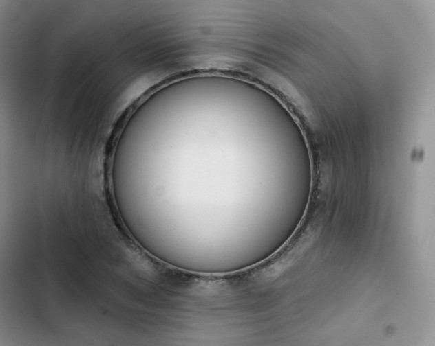 X0000102850978200808251158