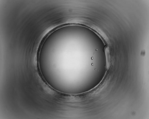 X0000102850980200808251158