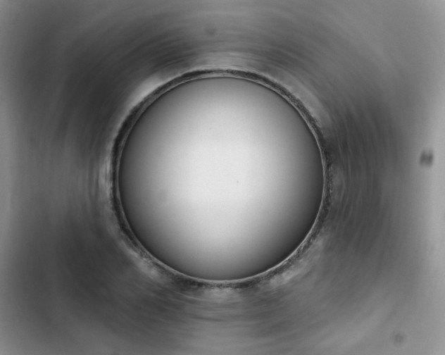 X0000102850982200808251158