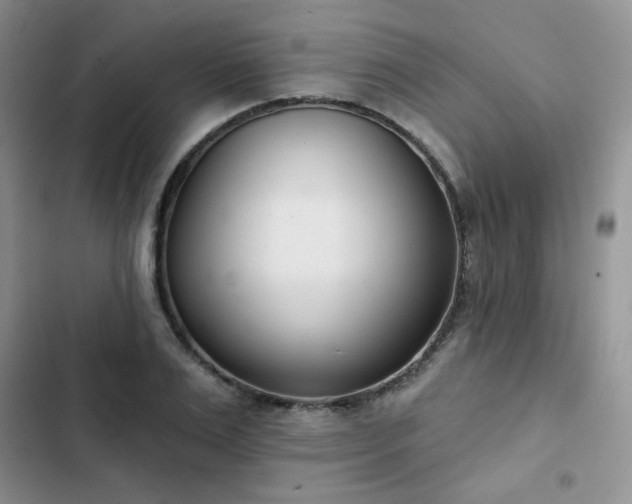 X0000102850983200808251158