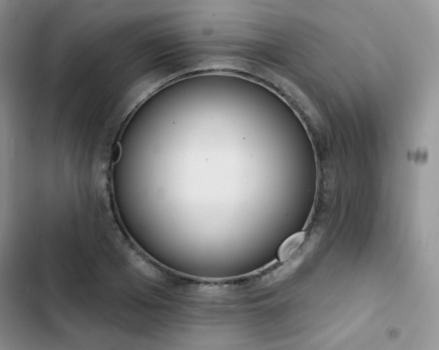 X0000102850985200808251158