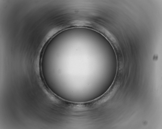 X0000102850986200808251158