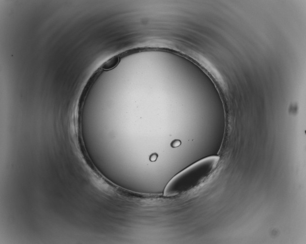 X0000102850988200808251158