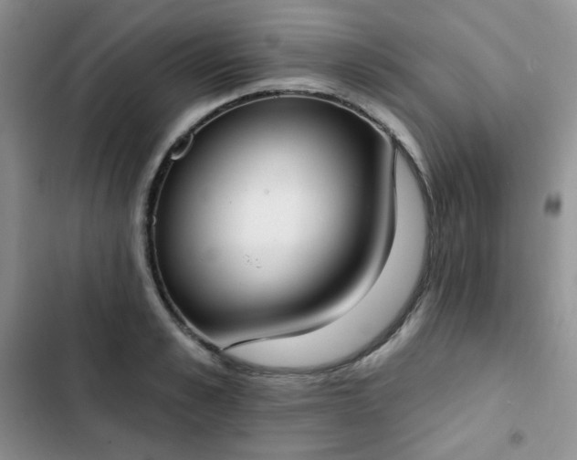 X0000102850989200808251158