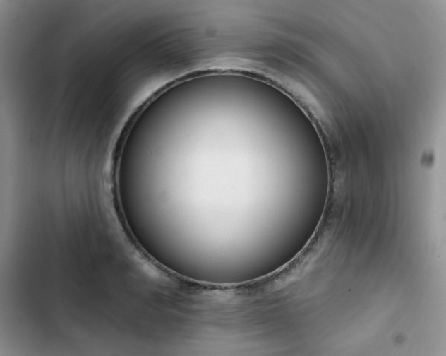 X0000102850990200808251158
