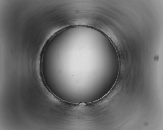 X0000102850992200808251158