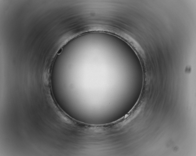 X0000102850993200808251158