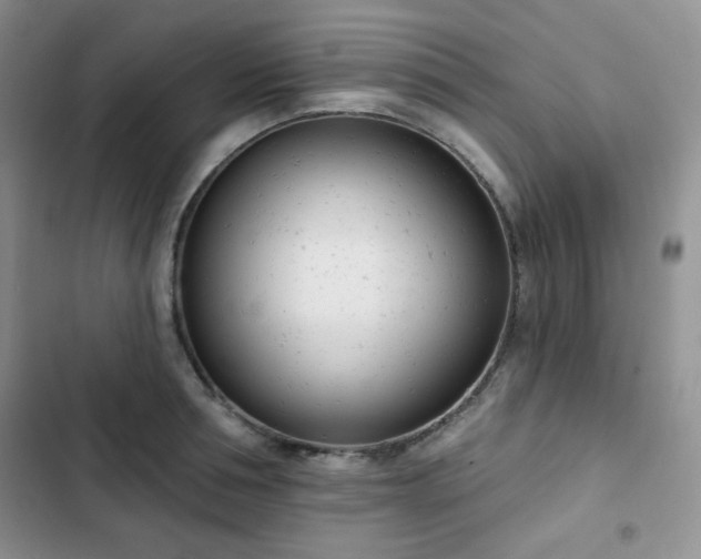 X0000102850994200808251158