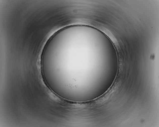 X0000102850996200808251158