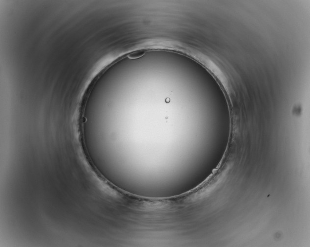 X0000102850997200808251158