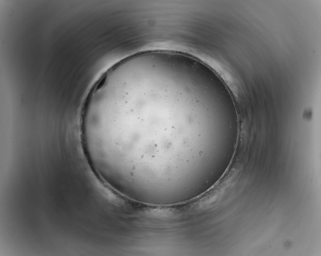 X0000102850998200808251158