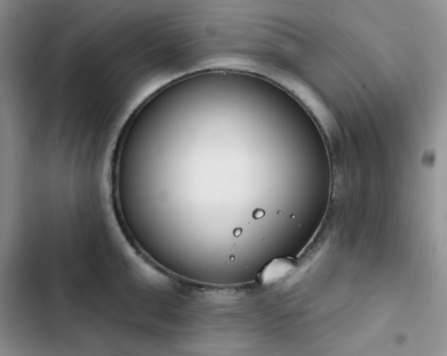 X0000102850999200808251158